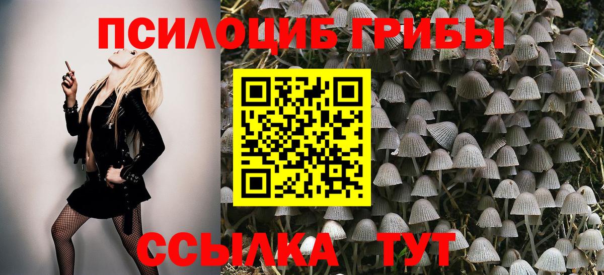 Галлюциногенные грибы прущие грибы Иваново